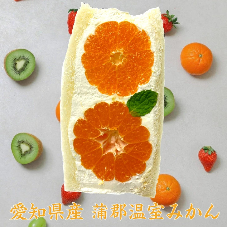 冬より甘い?温室育ちの濃蜜みかん♪ 愛知県産 蒲郡温室みかん